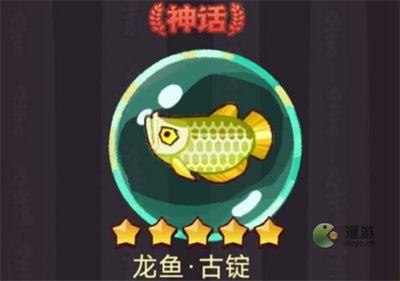 龍魚的搭配