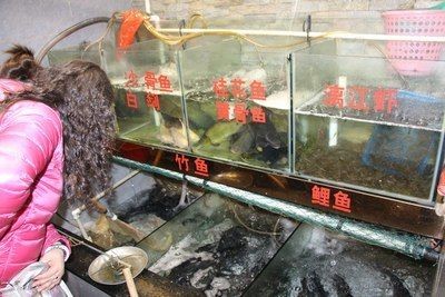 廣佛花魚之家怎么樣啊知乎貼吧（關于廣佛花魚之家的一些事） 廣佛花魚之家怎么樣啊知乎貼吧（關于廣佛花魚之家的一些事） 森森魚缸 第1張