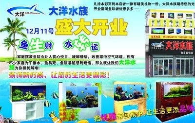 大洋魚(yú)缸廠(chǎng)：大洋漁業(yè)有限公司