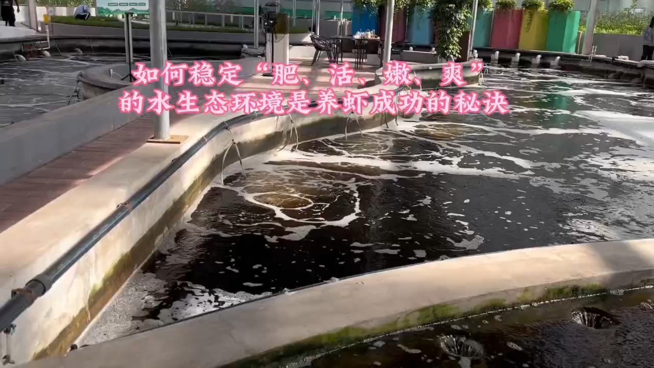 水質指標之水色 水質指標之水色 龍魚論壇