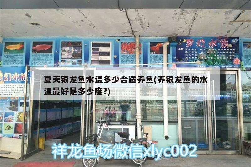 夏天銀龍魚水溫多少合適養魚(養銀龍魚的水溫最好是多少度?)