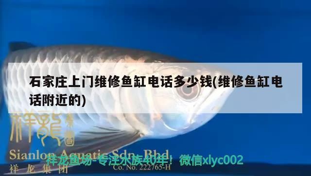 石家莊上門維修魚缸電話多少錢(維修魚缸電話附近的) 石家莊上門維修魚缸電話多少錢(維修魚缸電話附近的) 虎魚百科