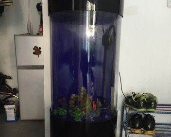 寵小到大魚缸怎么樣：寵小到大智能魚缸pawgether寵小到大智能魚缸
