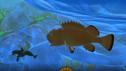 深海紅龍魚多少錢一斤:如何辨別深海紅龍魚 紅龍魚百科 第4張 深海紅龍魚多少錢一斤:如何辨別深海紅龍魚 深海紅龍魚多少錢一斤:如何辨別深海紅龍魚 紅龍魚百科 第4張