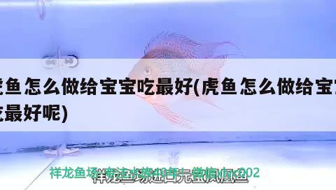 虎魚怎么做給寶寶吃最好(虎魚怎么做給寶寶吃最好呢)