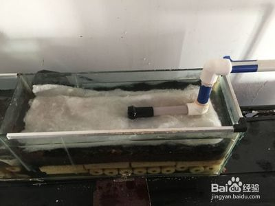 安彩魚(yú)缸過(guò)濾器進(jìn)水口怎么拆開(kāi)視頻：自制魚(yú)缸上過(guò)濾器的方法及注意事項(xiàng)及注意事項(xiàng)