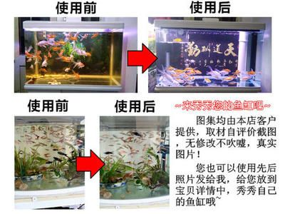 1.3米魚缸放多少鹽好一點：1.3米的魚缸放多少鹽比較好？