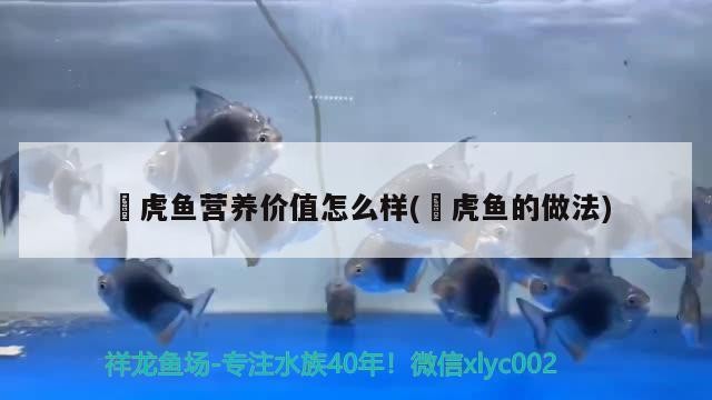 鰕虎魚營養價值怎么樣(蟳虎魚的做法)