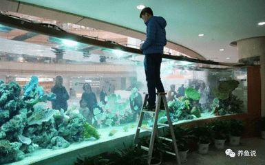 冬天魚缸水渾濁的原因是什么：冬天魚缸水渾濁的原因及其他季節(jié)有所不同，養(yǎng)魚愛好者必備的知識 冬天魚缸水渾濁的原因是什么：冬天魚缸水渾濁的原因及其他季節(jié)有所不同，養(yǎng)魚愛好者必備的知識 魚缸百科 第3張