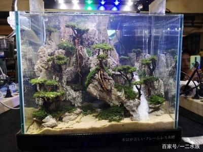 大魚(yú)缸如何開(kāi)缸視頻：大魚(yú)缸開(kāi)缸視頻教程