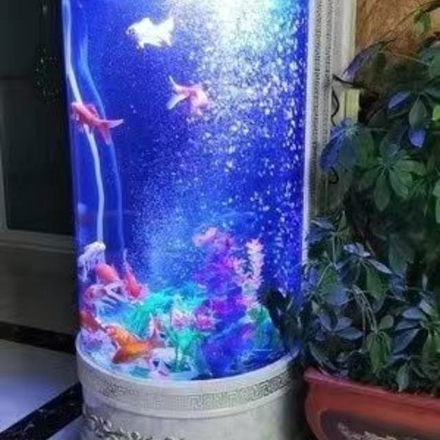 斗魚缸制作：斗魚缸制作的相關(guān)信息
