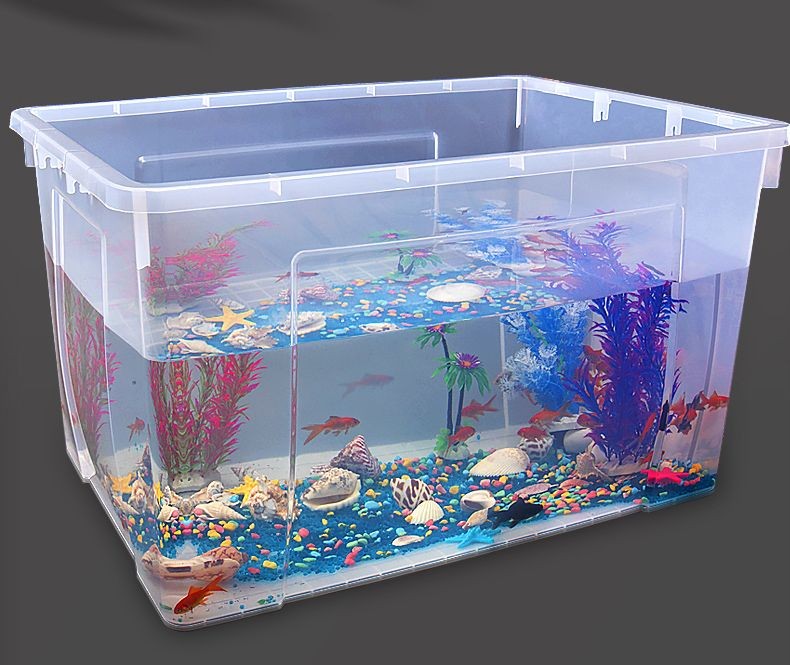 斗魚缸制作：斗魚缸制作的相關(guān)信息