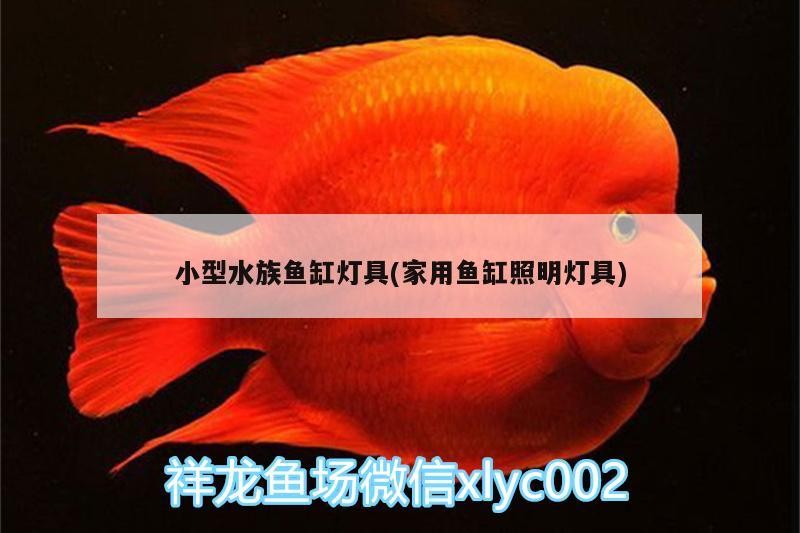 魚缸用增氧泵價格是多少:魚缸增氧機-xtrac增氧機-xtrac增氧機 小型水族魚缸燈具(家用魚缸照明燈具) 觀賞魚百科 小型水族魚缸燈具(家用魚缸照明燈具) 小型水族魚缸燈具(家用魚缸照明燈具) 觀賞魚百科