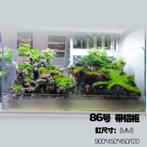成品魚缸改水陸缸怎么改：成品魚缸改水陸缸步驟