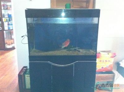 搬魚缸上6樓：如何搬魚缸上6樓