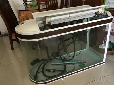 搬魚缸上6樓：如何搬魚缸上6樓