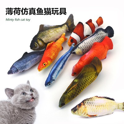 金龍魚活體價格