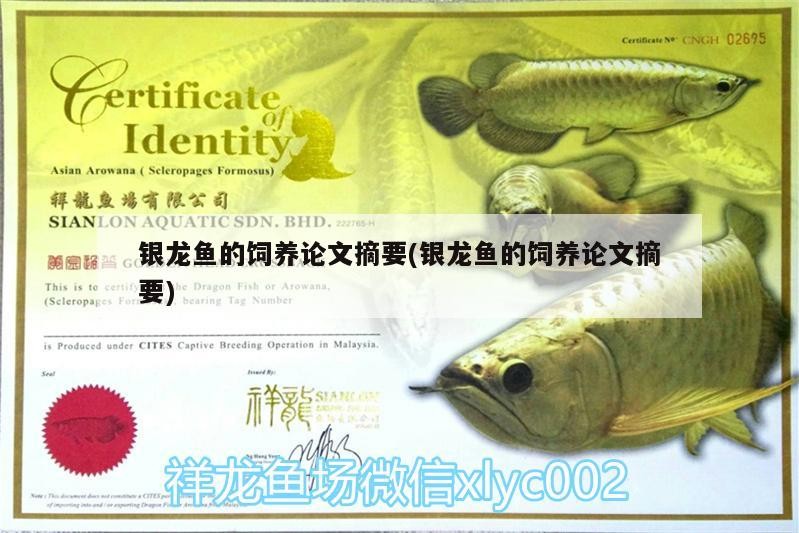 銀龍魚的飼養論文摘要(銀龍魚的飼養論文摘要)