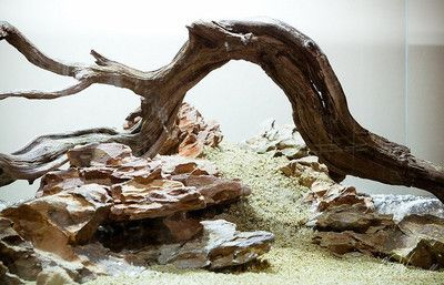 大魚(yú)缸水草泥怎么鋪的好：大魚(yú)缸水草泥鋪設(shè)方法和注意事項(xiàng)和注意事項(xiàng)