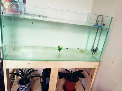 大魚(yú)缸水草泥怎么鋪的好：大魚(yú)缸水草泥鋪設(shè)方法和注意事項(xiàng)和注意事項(xiàng)