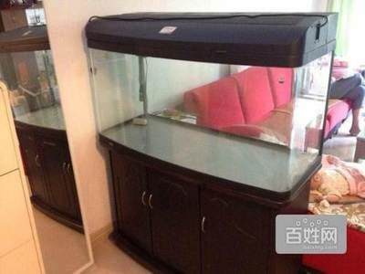 不能送魚缸什么意思：風水學的風水觀念中送魚缸是不吉利的行為是不吉利的行為