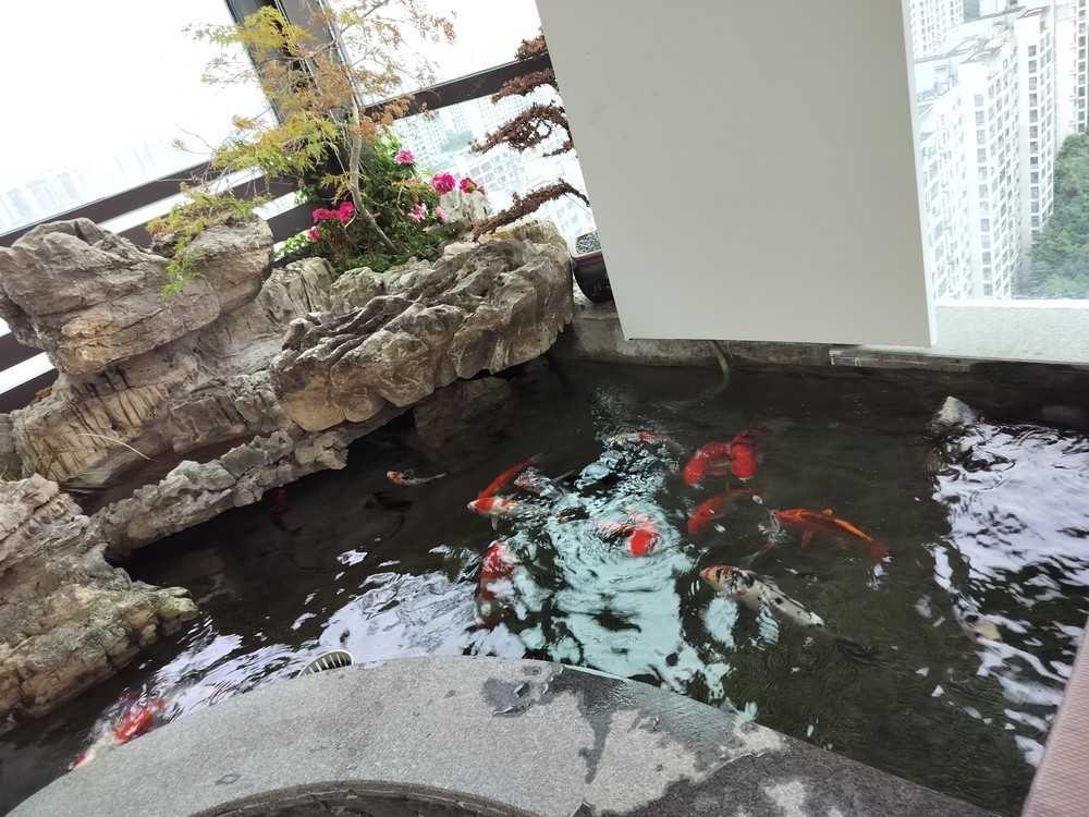 一朝一夕，自己安靜地走完