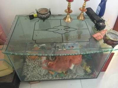 鄲城賣魚缸的地方在哪：鄲城賣魚缸的地方