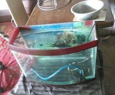 鄲城賣魚缸的地方在哪：鄲城賣魚缸的地方