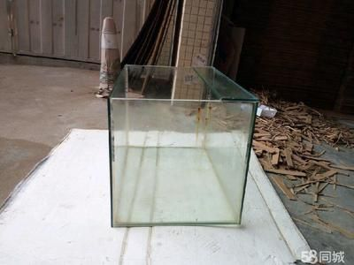 玻璃膠粘魚缸可以嗎：如何選擇合適的玻璃膠粘魚缸