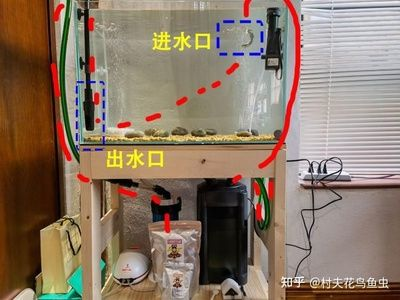 側(cè)濾魚缸過濾材料擺放順序視頻：魚缸側(cè)濾魚缸過濾材料的擺放順序詳解魚缸濾材擺放順序