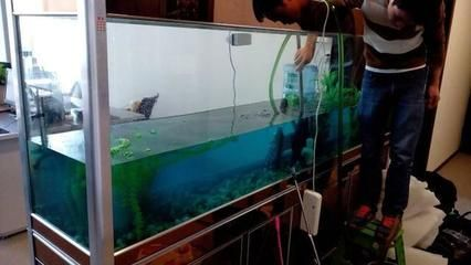 徹底清洗魚缸重新開缸要多久：如何徹底清洗魚缸并重新開缸