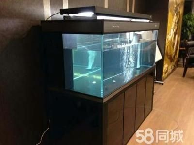 徹底清洗魚缸重新開缸要多久：如何徹底清洗魚缸并重新開缸