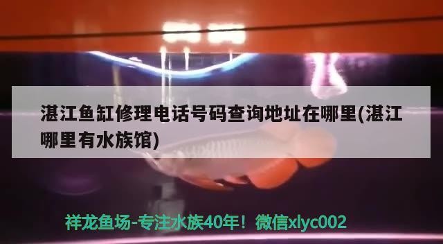 <strong><mark>湛江</mark></strong>魚缸修理電話號碼查詢地址在哪里(<strong><mark>湛江</mark></strong>哪里有水族館)