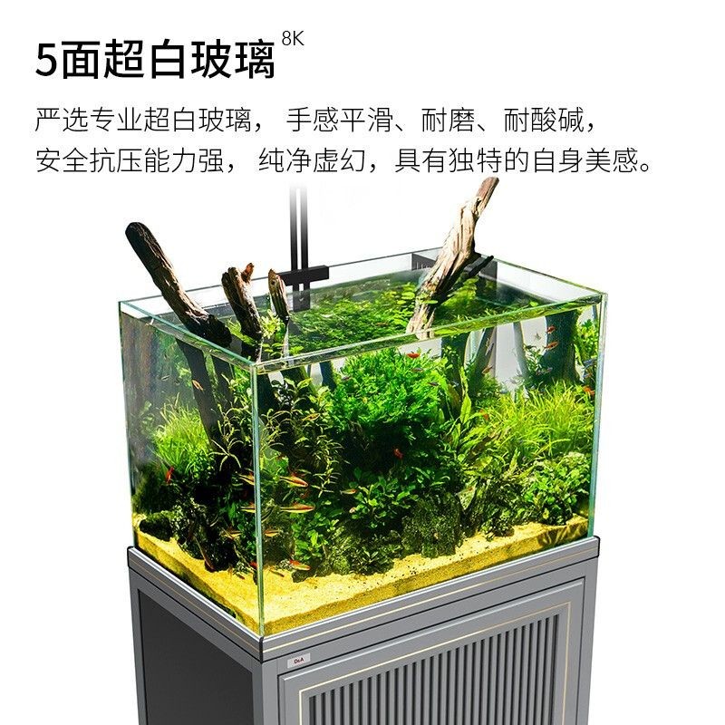 100的魚缸用什么過濾最好:100升的魚缸用什么過濾好 魚缸百科 第1張 100的魚缸用什么過濾最好:100升的魚缸用什么過濾好 100的魚缸用什么過濾最好:100升的魚缸用什么過濾好 魚缸百科 第1張