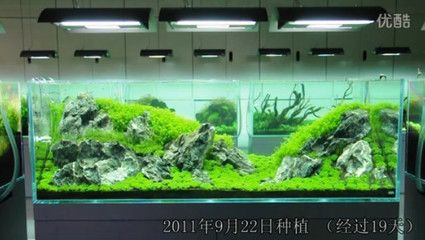 180的魚缸水景多少錢 180的魚缸水景多少錢 魚缸百科 第1張