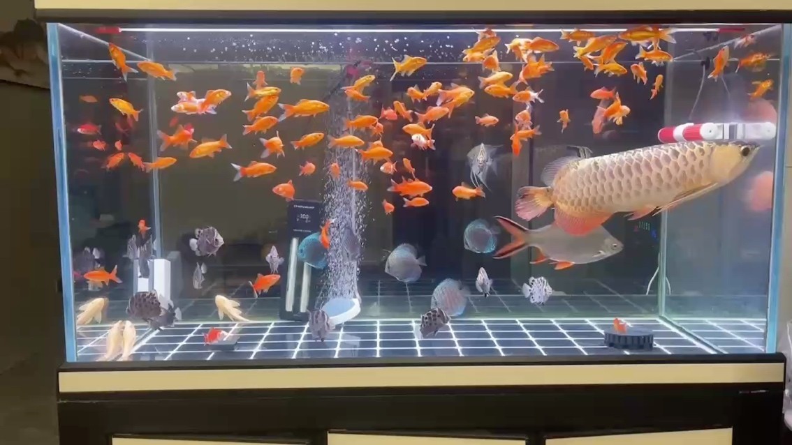 人生就是一場旅行！