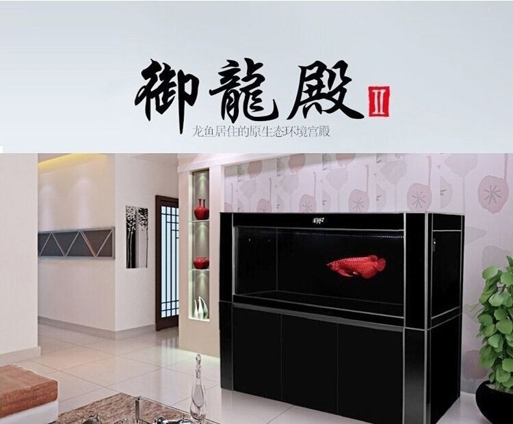 虎魚屬于什么魚(虎魚學名)