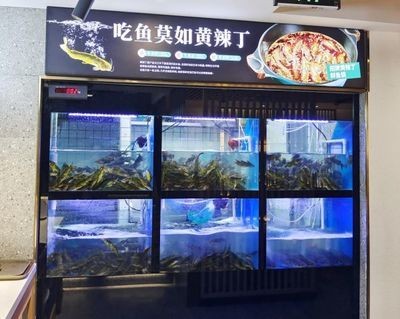 巴南哪里有魚缸賣的實體店：巴南區(qū)有哪些魚缸實體店？