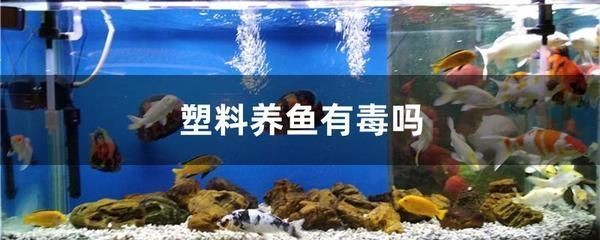 森森SDP系列直流變頻水泵（森森直流變頻水泵怎么樣）