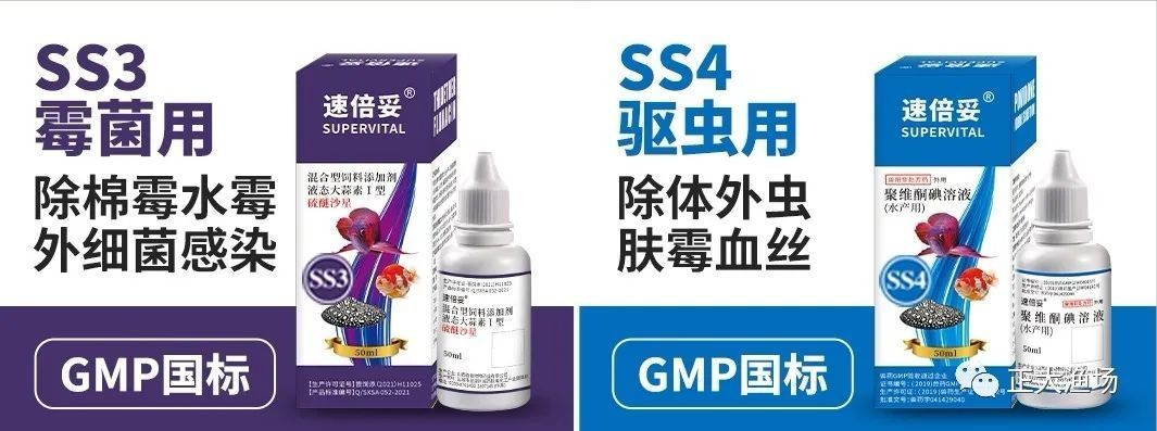 魚缸過濾器選購指南:自制魚缸過濾器魚缸上置過濾器對于養魚愛好者的必備知識 紅龍魚飼料添加劑的作用:如何自制紅龍魚飼料添加劑 紅龍魚百科 紅龍魚飼料添加劑的作用:如何自制紅龍魚飼料添加劑 紅龍魚飼料添加劑的作用:如何自制紅龍魚飼料添加劑 紅龍魚百科