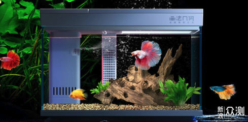 吳忠市利通區洪水族店（吳忠水廠） 吳忠市利通區洪水族店（吳忠水廠） 全國水族館企業名錄 第1張