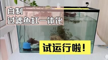 超市玻璃魚缸制作方法視頻：佛山超市玻璃魚缸制作方法 超市玻璃魚缸制作方法視頻：佛山超市玻璃魚缸制作方法 魚缸百科 第1張