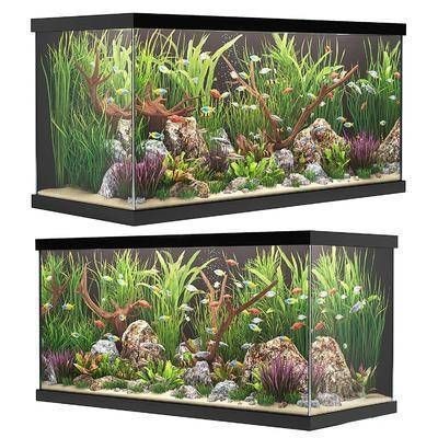 大型魚缸制作設計圖：大型魚缸制作大型魚缸制作設計圖的關鍵步驟和注意事項