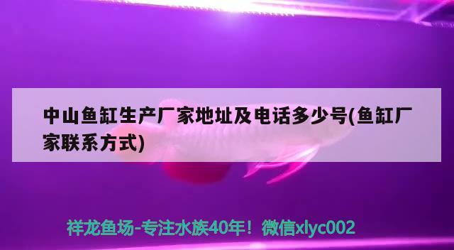 中山魚缸生產廠家地址及電話多少號(魚缸廠家聯系方式)