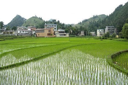 沈陽市和平區(qū)布露思伊水族店（沈陽市和平區(qū)布露思伊水族店地址） 沈陽市和平區(qū)布露思伊水族店（沈陽市和平區(qū)布露思伊水族店地址） 全國水族館企業(yè)名錄 第1張