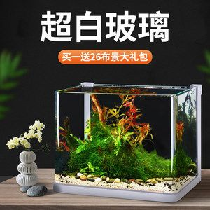 斗魚魚缸造景圖：斗魚缸造景教程和視頻 斗魚魚缸造景圖：斗魚缸造景教程和視頻 魚缸百科 第4張