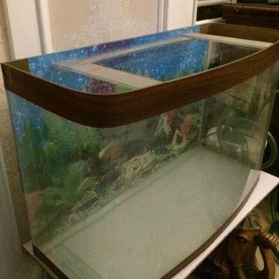 1.5米長40寬80高魚缸：1.5米長40寬80高的魚缸是一個怎樣的魚缸？ 1.5米長40寬80高魚缸：1.5米長40寬80高的魚缸是一個怎樣的魚缸？ 魚缸百科 第2張