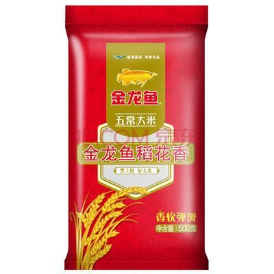 金龍魚最低價是多少錢