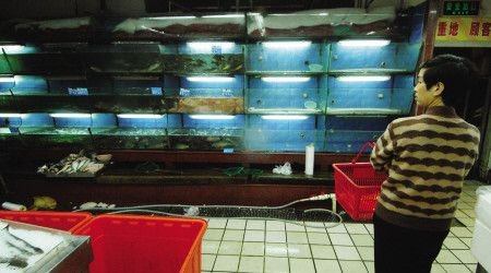 超市魚缸換水的正確方法
