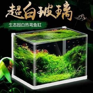 不用的玻璃魚缸還能做什么呢：關(guān)于不用的玻璃魚缸的其他用途，這里有幾種可能性 不用的玻璃魚缸還能做什么呢：關(guān)于不用的玻璃魚缸的其他用途，這里有幾種可能性 魚缸百科 第3張